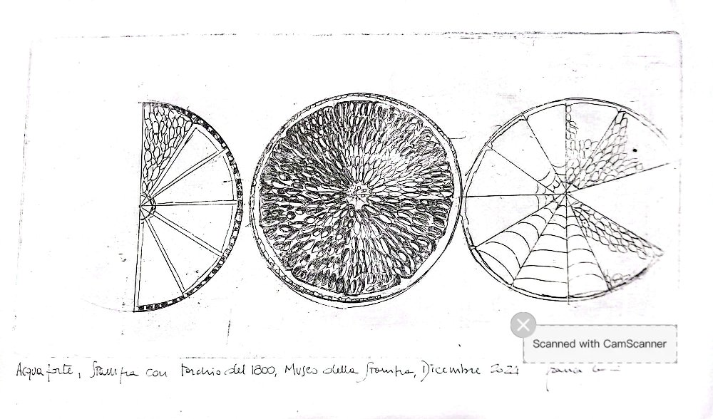 Decostruzione di un frutto