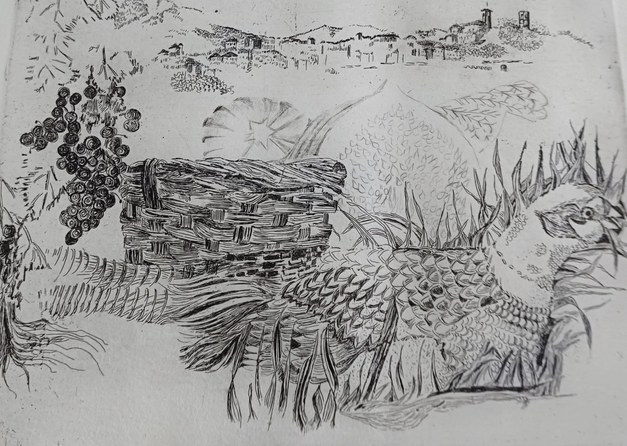 Vendemmia cascina Fasano